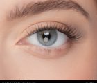pre-glued false eyelashes nanolash