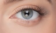pre-glued false eyelashes nanolash
